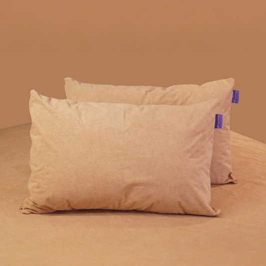 Terry Pillow Protector (100% WaterProof) - Pack of 2