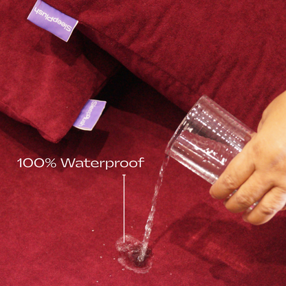 Terry Pillow Protector (100% WaterProof) - Pack of 2