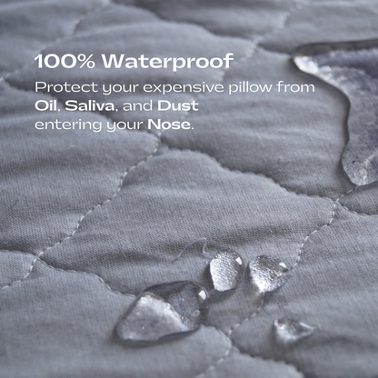 Quilted Pillow Protector (100% WaterProof) - Pack of 2