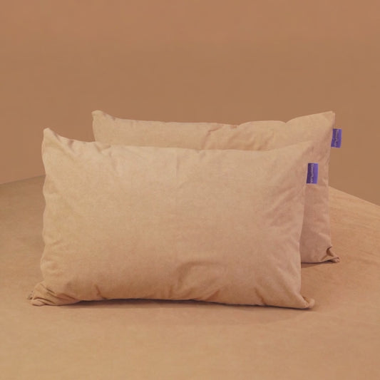 Terry Pillow Protector (100% WaterProof) - Pack of 2